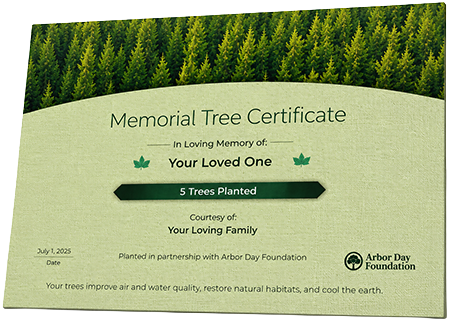 Plant Trees in Memory of Mr. Gregory Bernard Powell